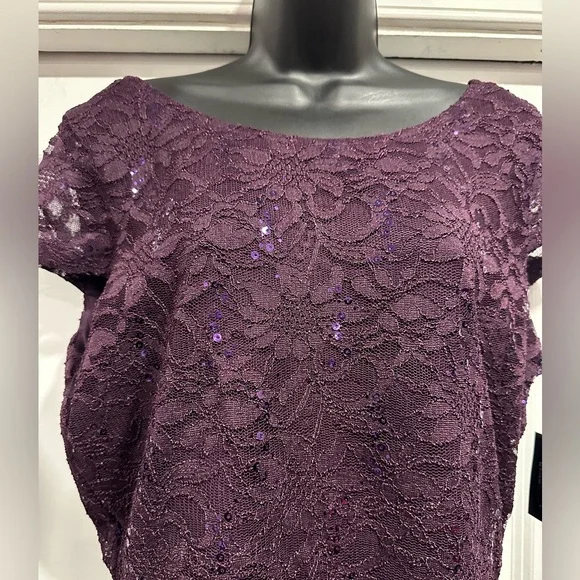 Elegant Size 14 Lace Overlay Dress - Picture 2 of 7